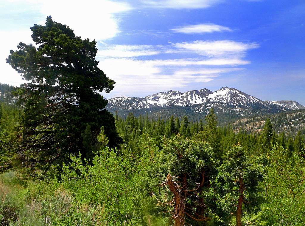 Hiram and Folger Peaks from Ebbetts Pass area