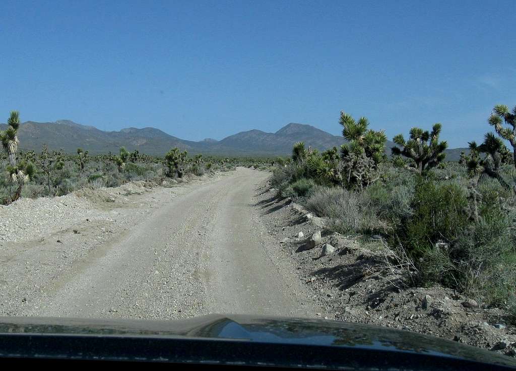 The road to Badger Springs