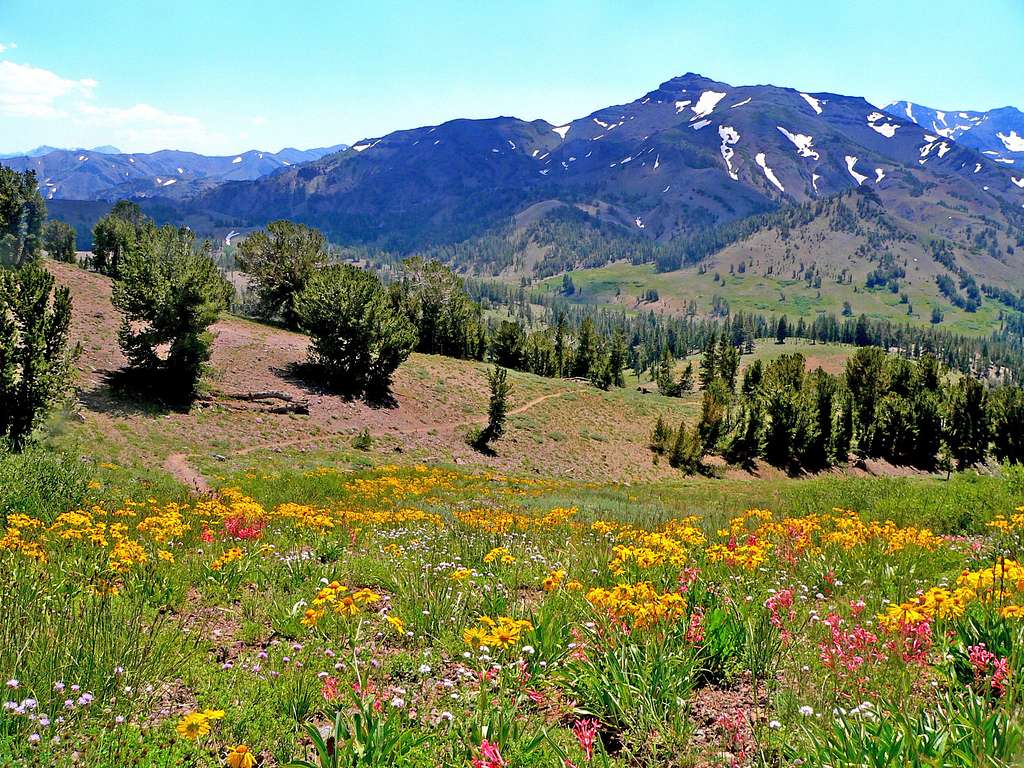 Pacific Crest Trail, Sonora Pass 