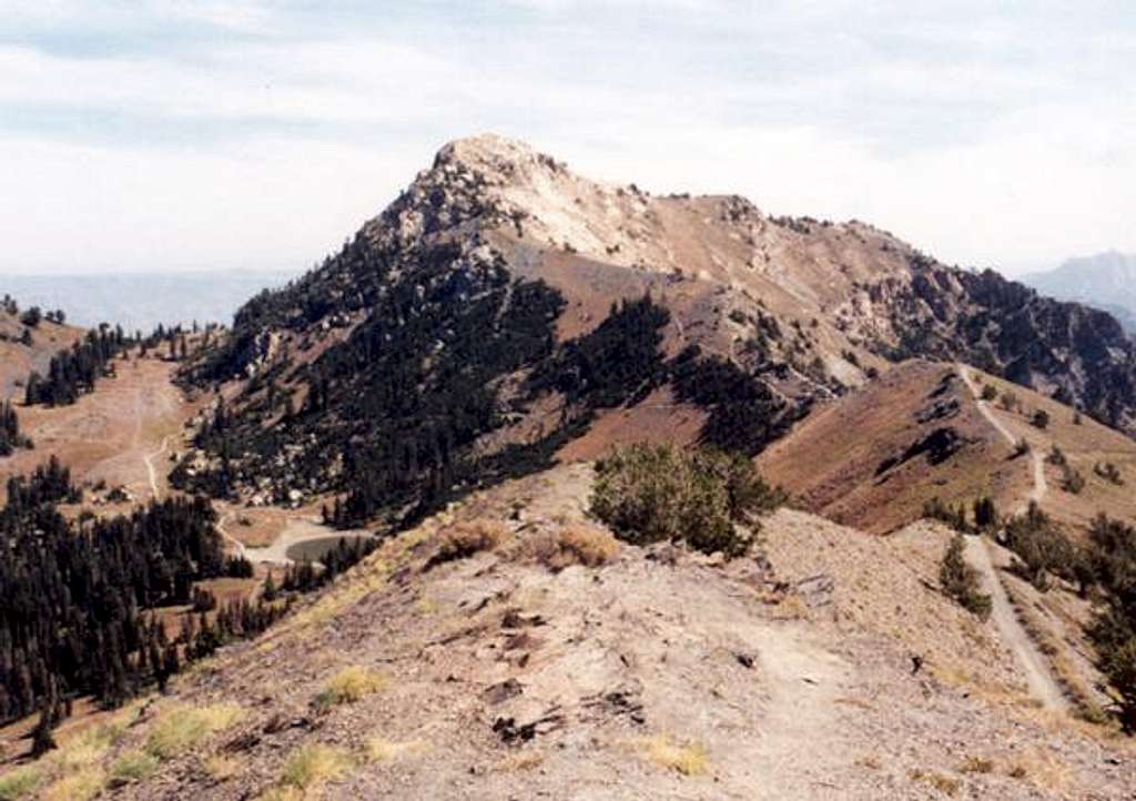 Willard Peak viewed from...