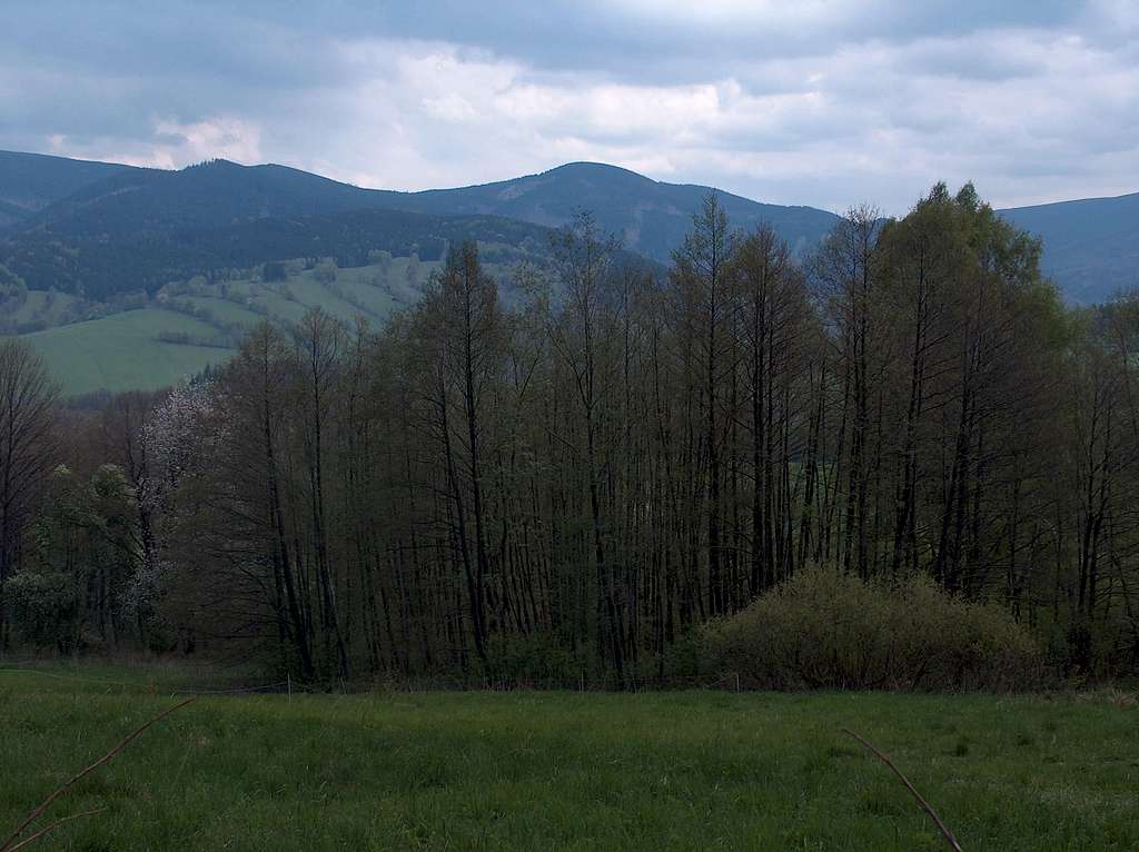 Near Filipovice