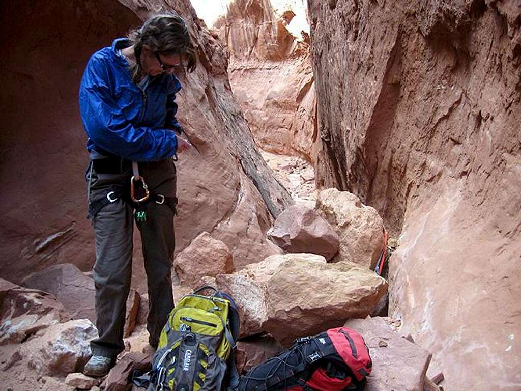 S.F. Robbers Roost Canyon