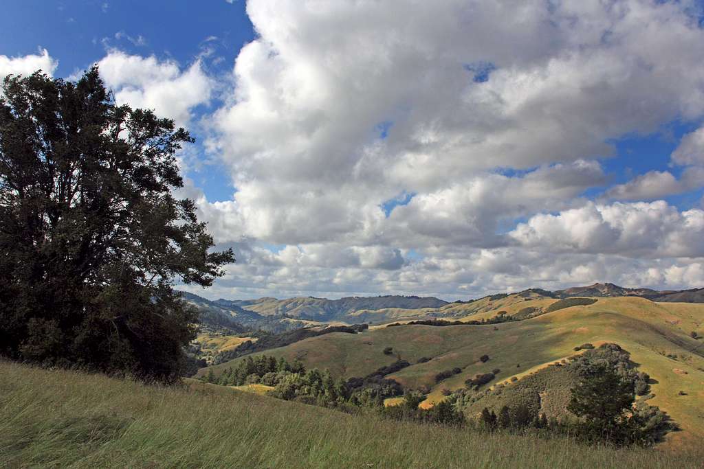 San Geronimo Ridge