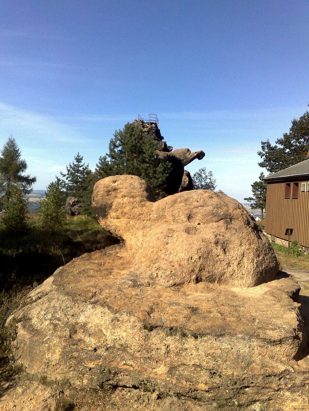 Turtle and Parrot (or Dinosaur) on Töpfer, Zittau mountains