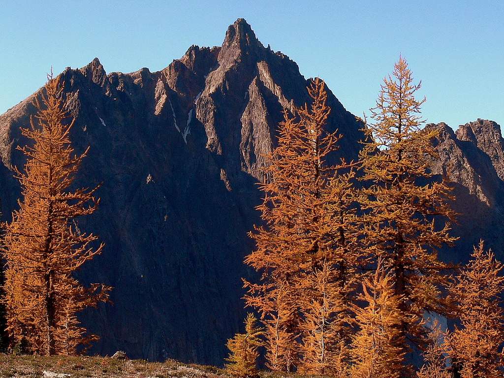 Mount Hardy with Golden Larches