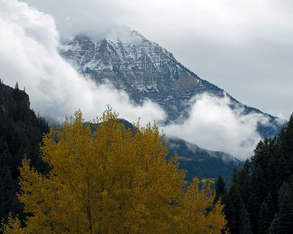 Fall colors under North Timp