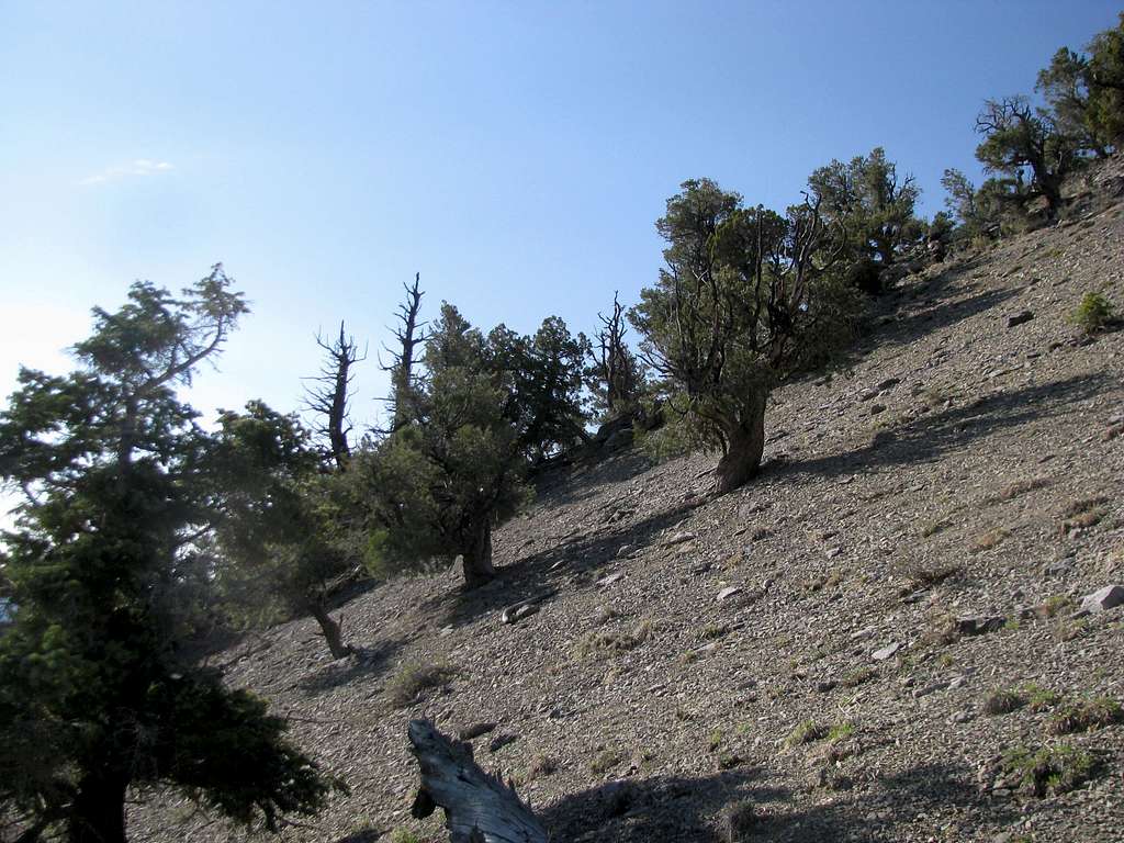 Terrain along lower slopes