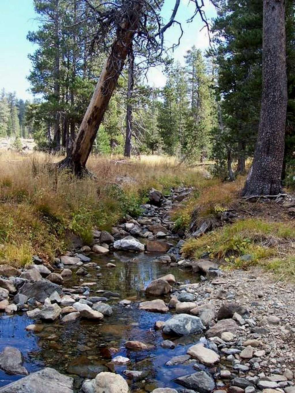 9-30-04
 Deadfall Creek on...