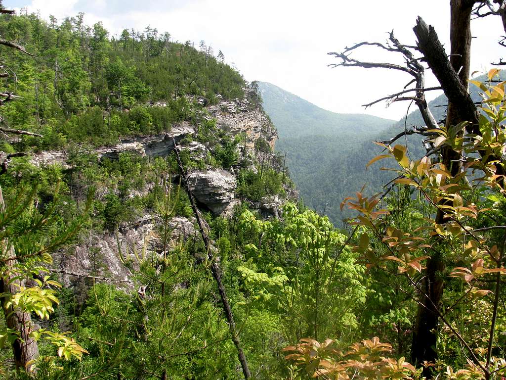 Cliffs Along Rockjock Trail
