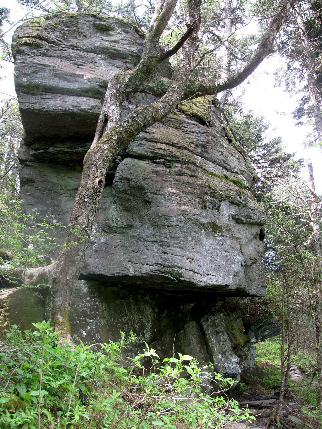 Interesting Rock Formation