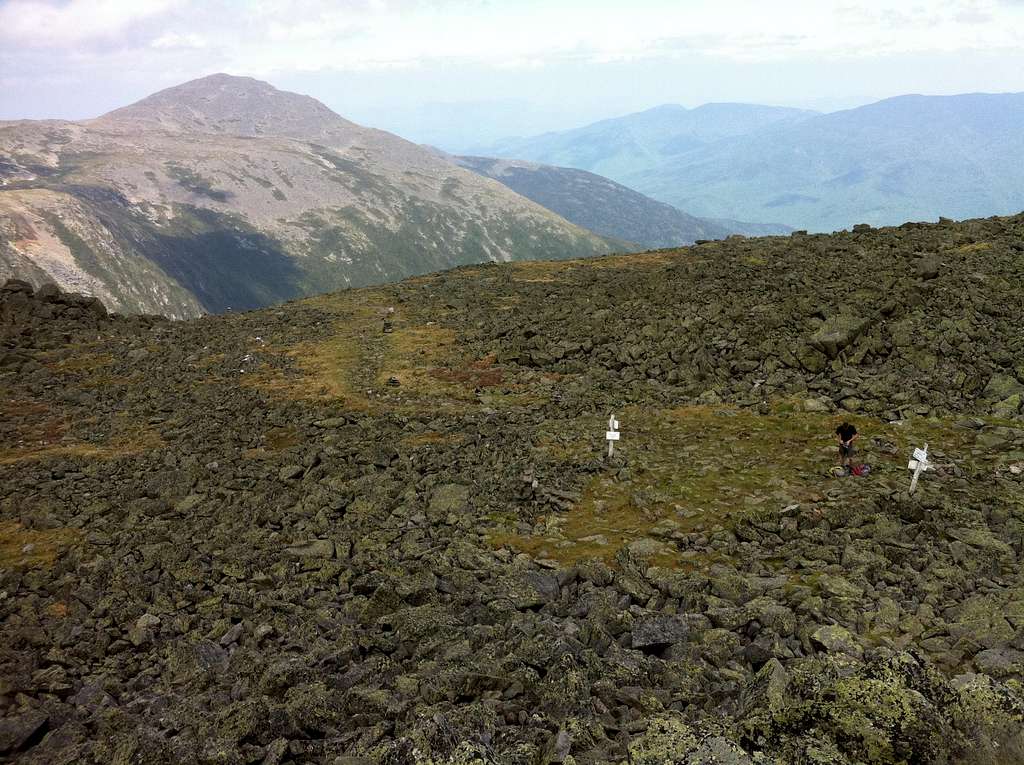 view s to the west from Mt Jefferson summit NH