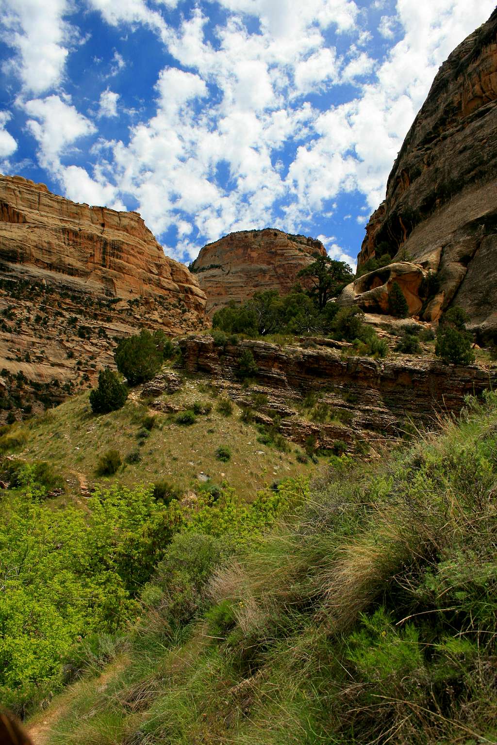 Looking upriver into Yampa Canyon