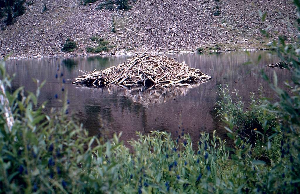 Beaver Lodge at Maroon Lake