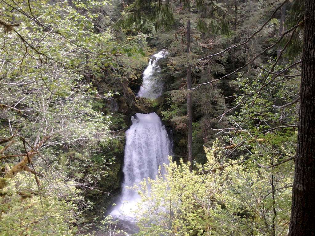 Curly Creek Falls