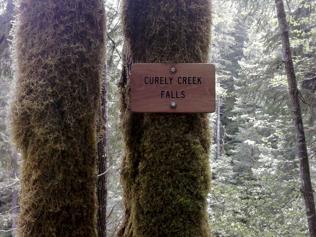 Curly Creek Falls Sign