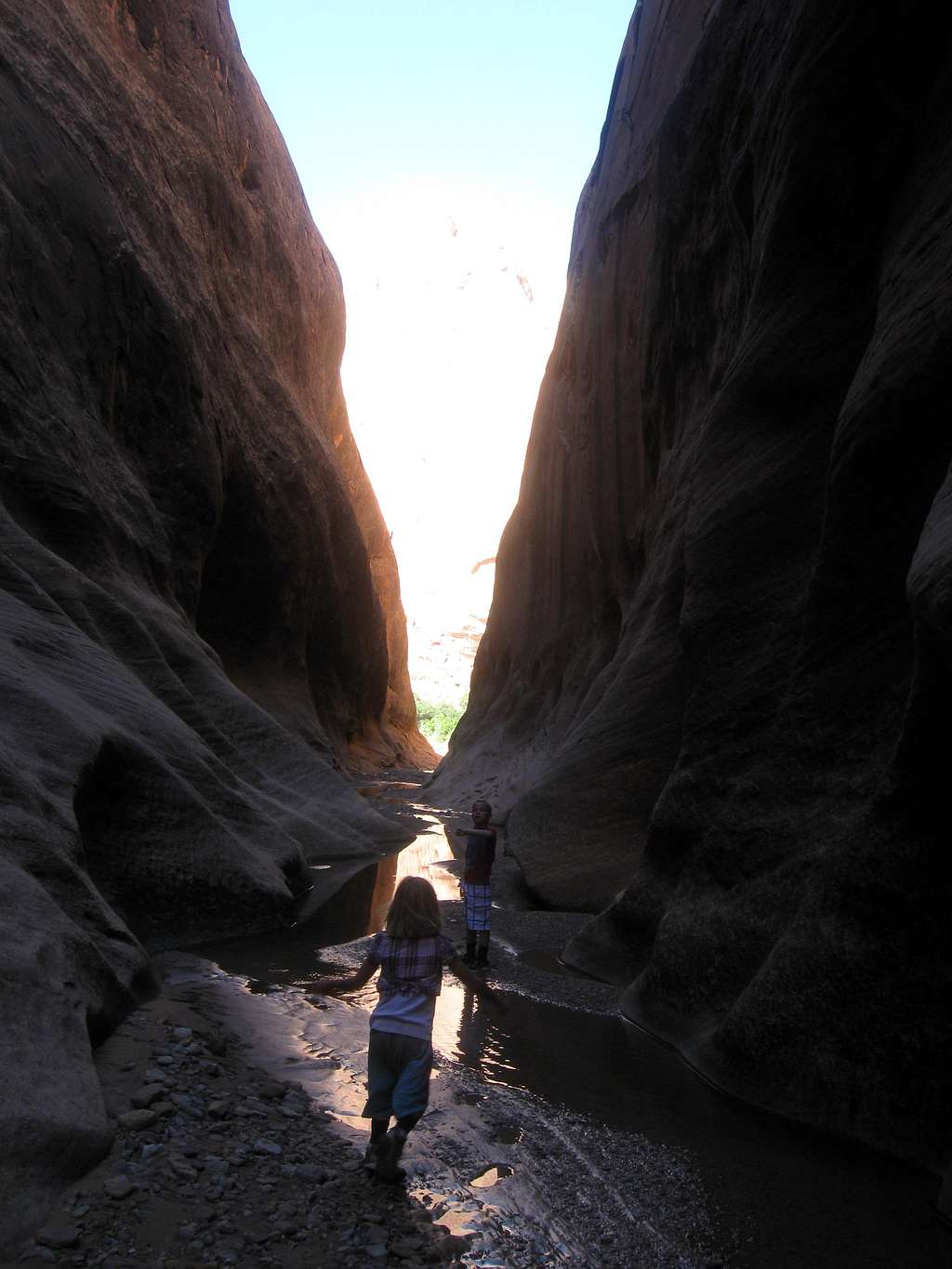 Deep in the Narrows