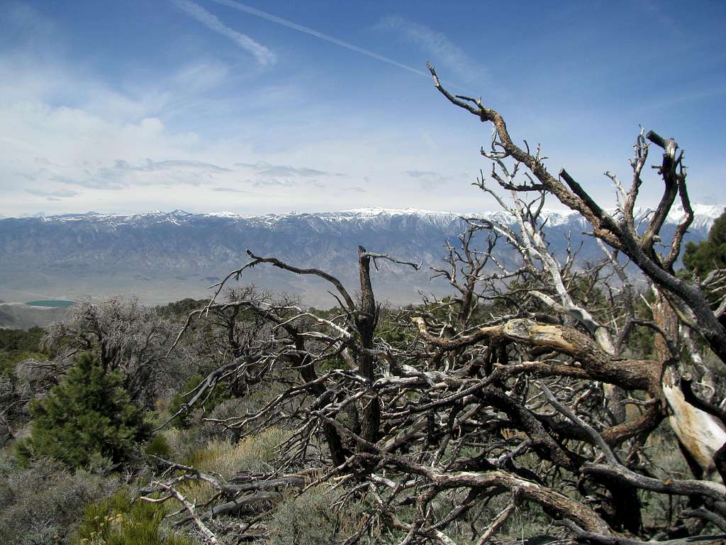 From slopes of Piper Peak
