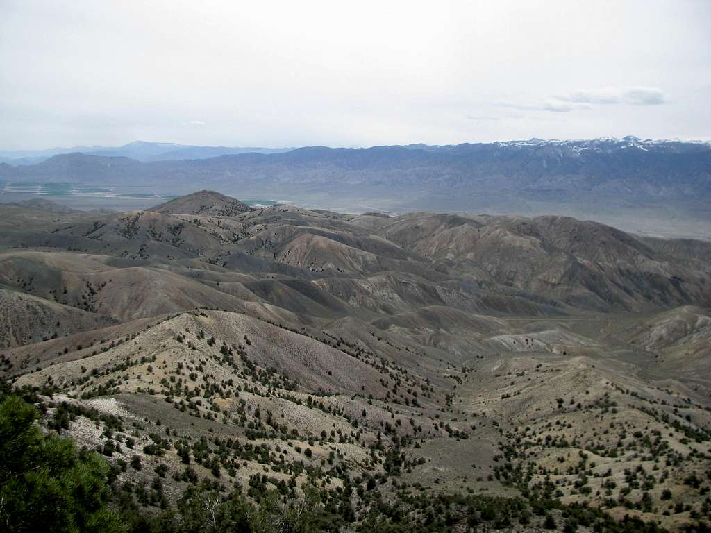 Foothills of Silver Peak Range