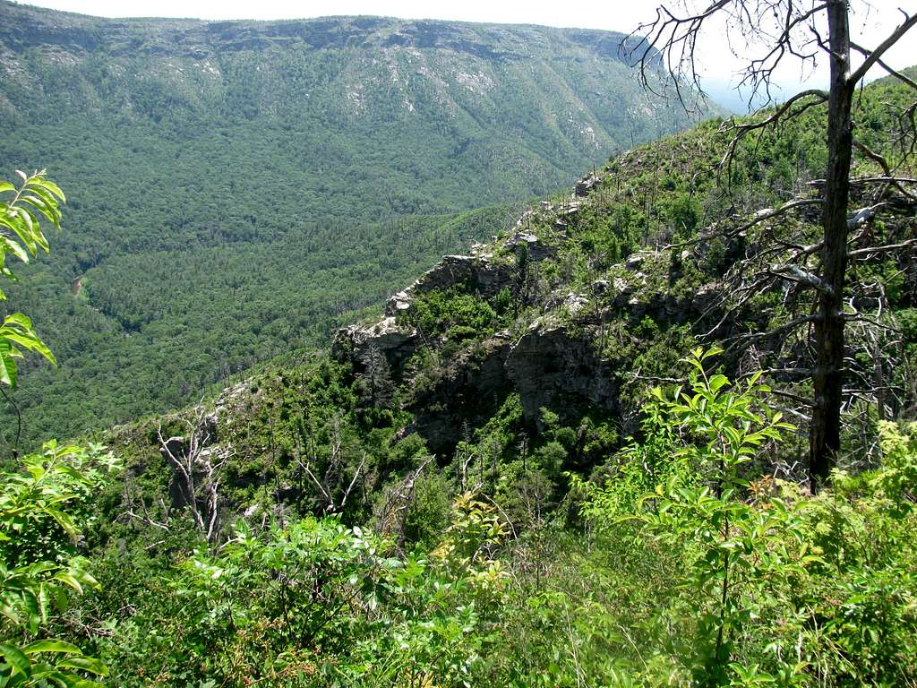 Mossy Canyon Ridge