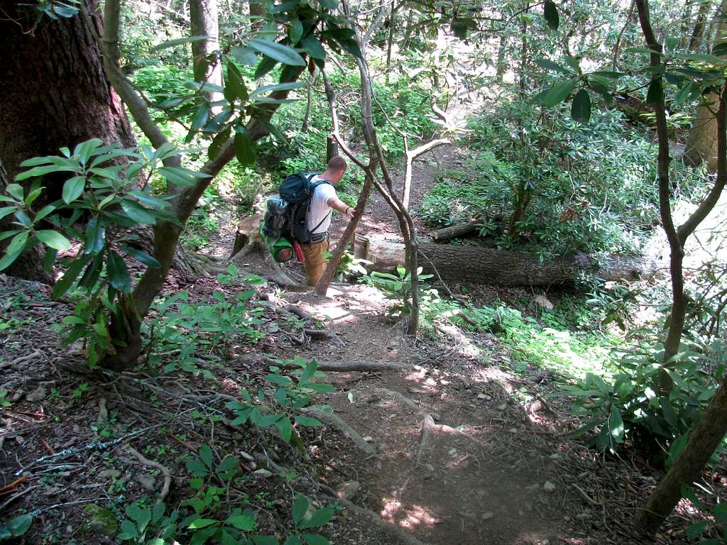 Linville Gorge Trail