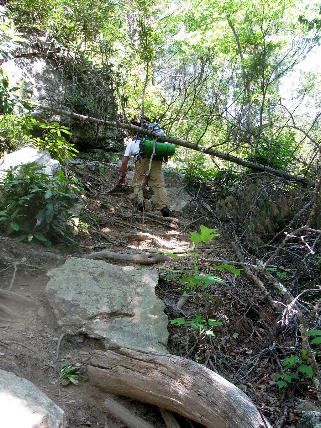 Linville Gorge Trail