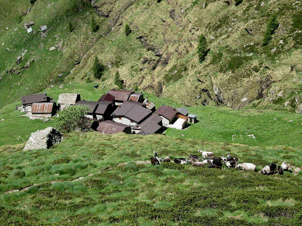 Alpe Deleguaggio