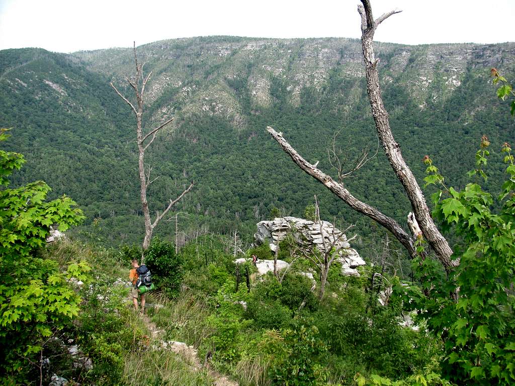 Pinchin Trail