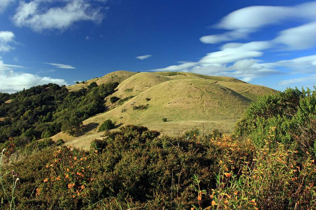 Bald Hill from the south