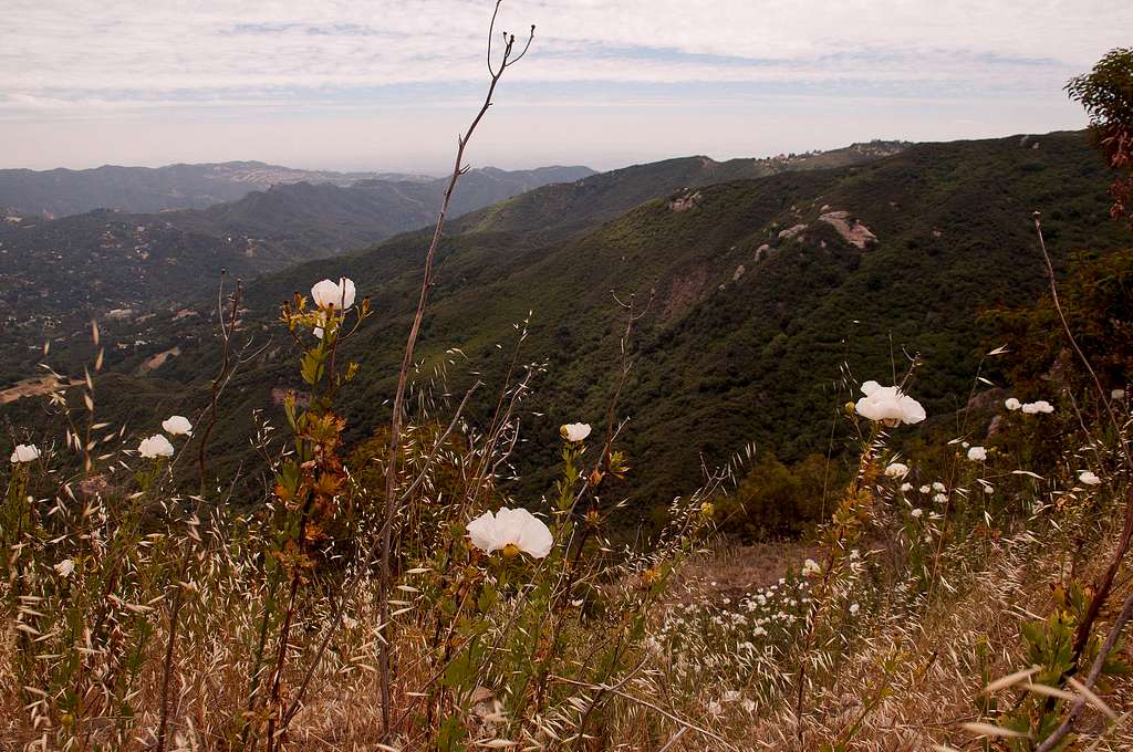 Hondo Canyon