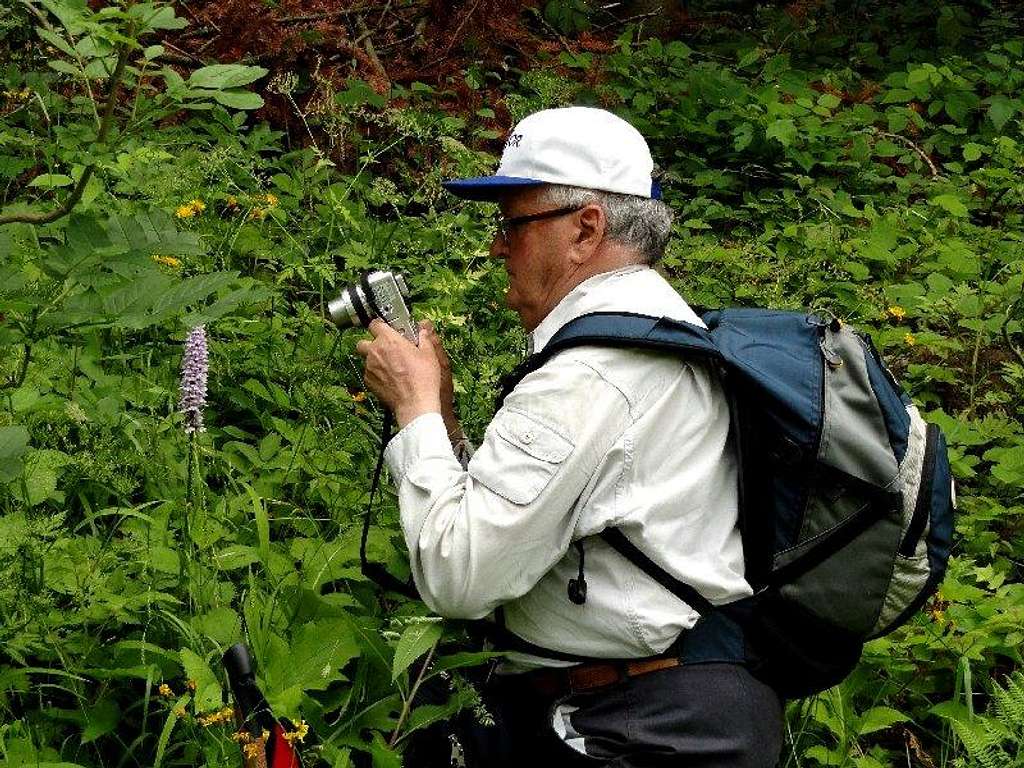 Photographing the orchis