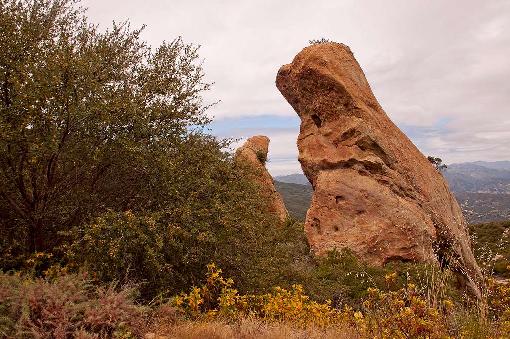 Topanga Ridge