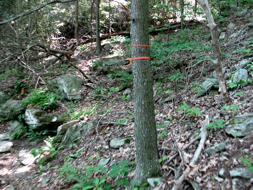 Devil's Hole Trail Sign?