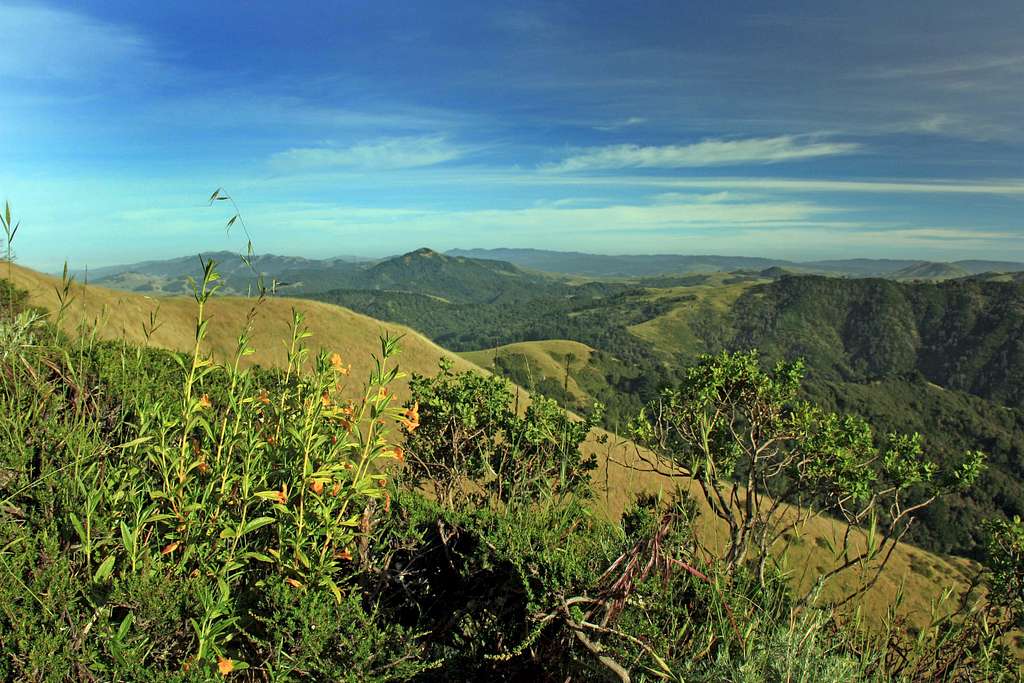 Laguna Hill south