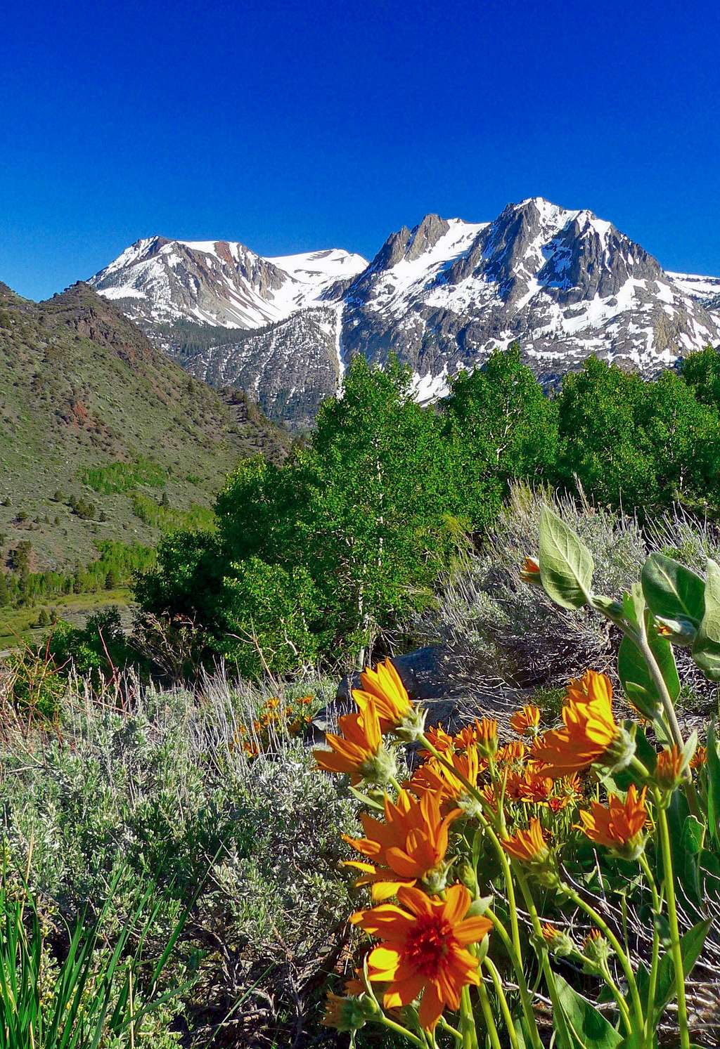 Carson Peak from the north