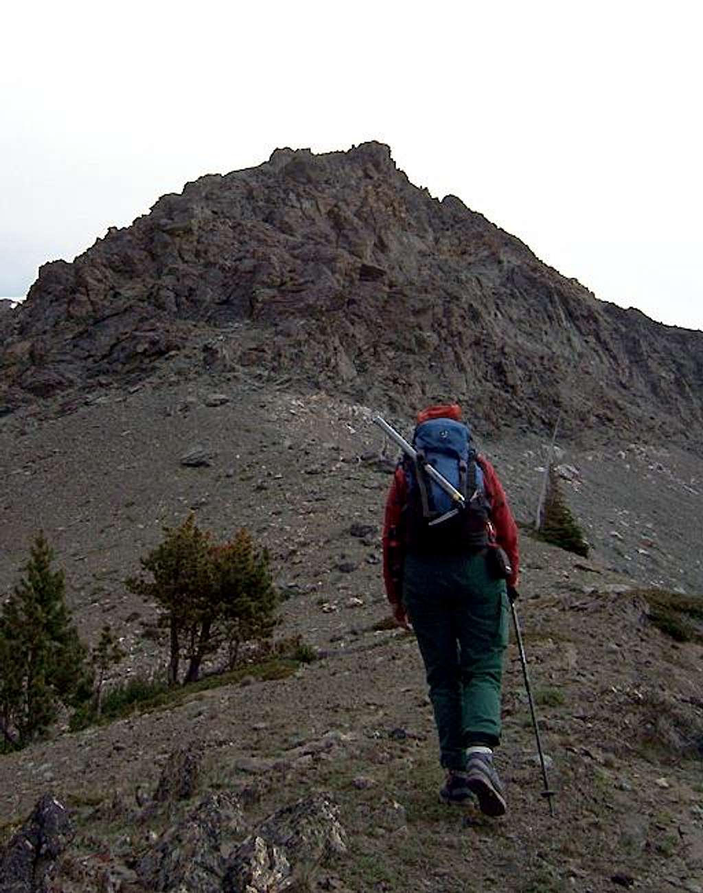Southwest Ridge, Little Dog Mountain