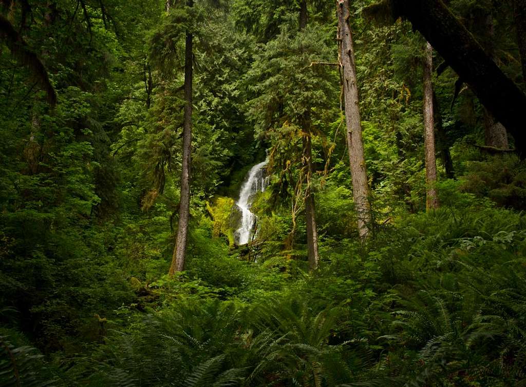 Waterfall in Hoh Rainforest, Mt. Olympus