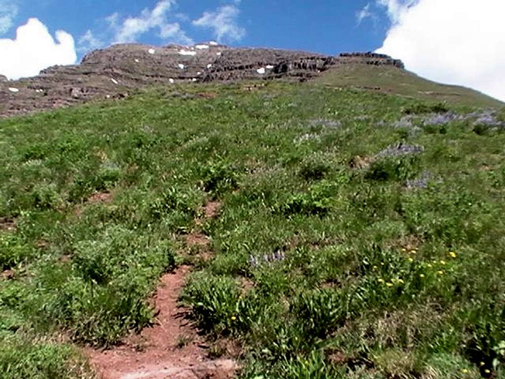 Teocalli Mountain Trail
