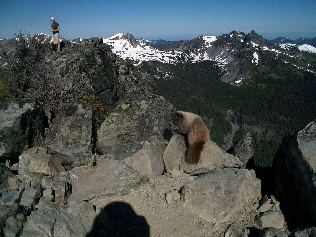 Marmot and Curtissimo on summit