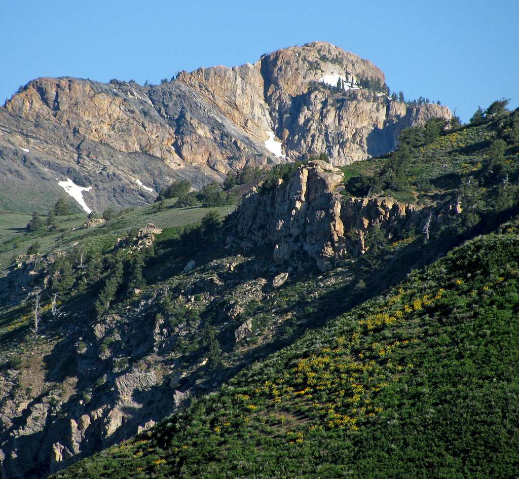 Willard Peak from Skyline Trail Photos, Diagrams & Topos SummitPost