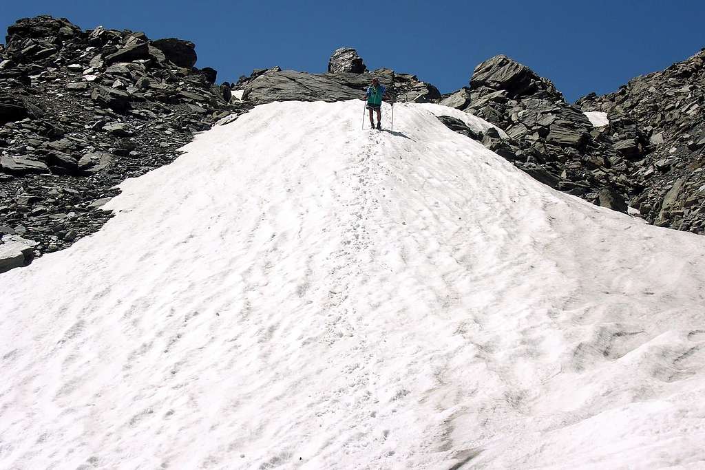  Mont Valaisan summer snowy descent 