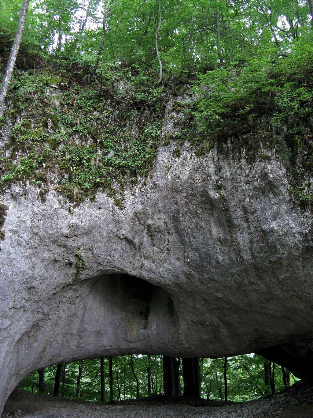 The Karst Bridge