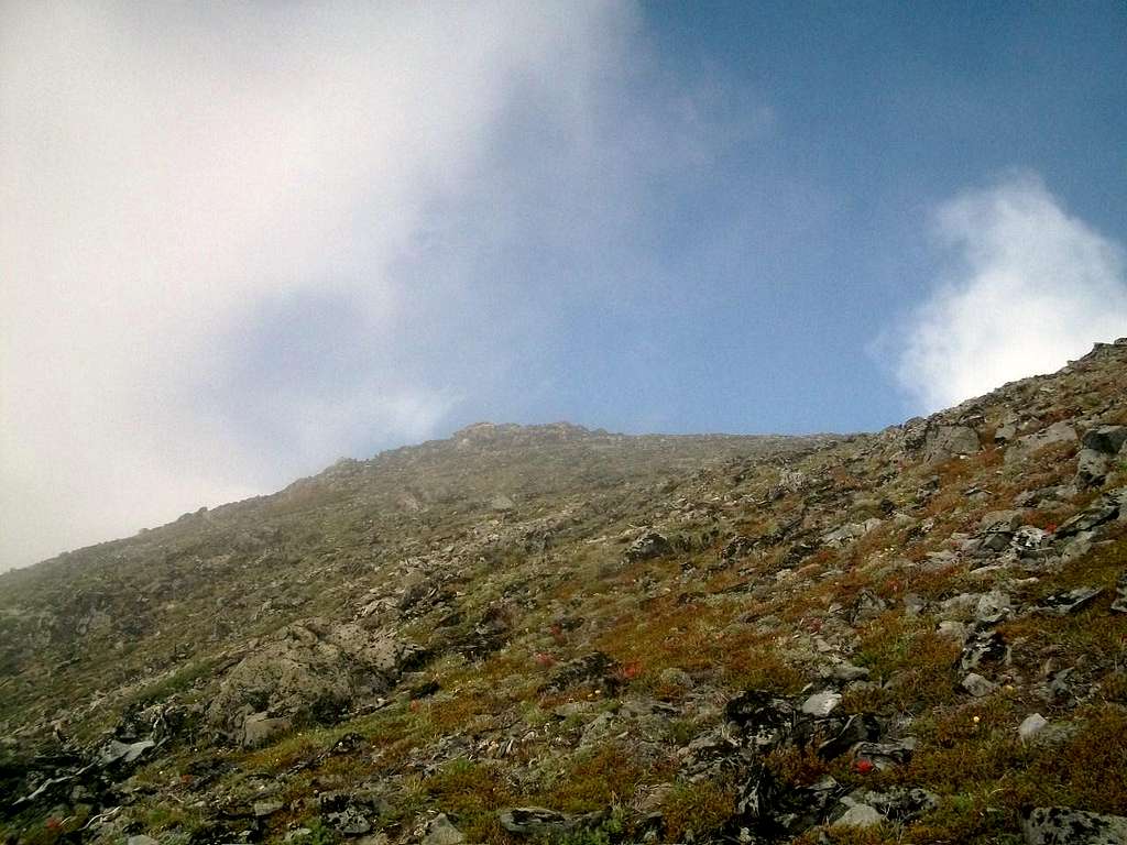 Looking toward the Middle Summit
