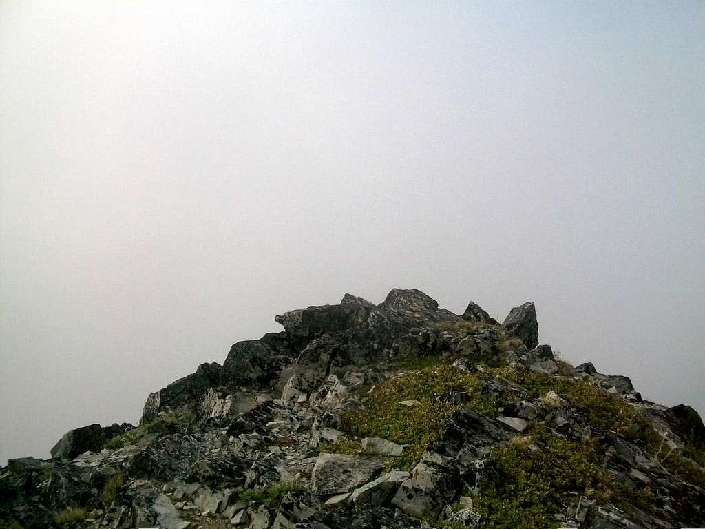The Middle Summit