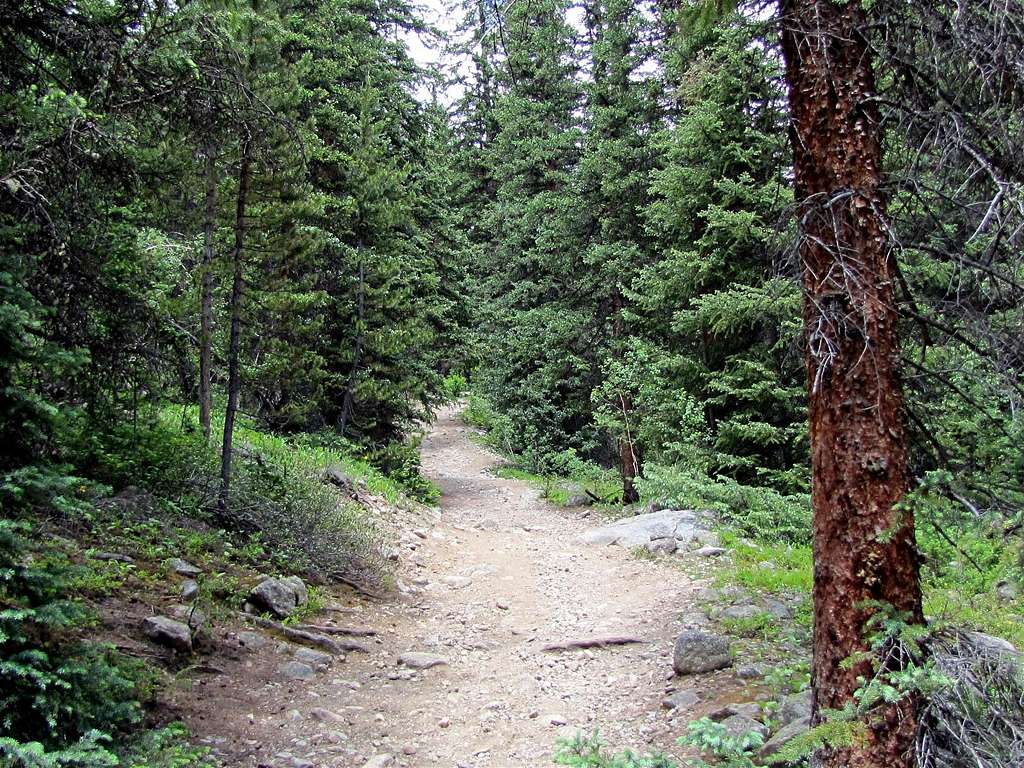 Lower parts of the trail