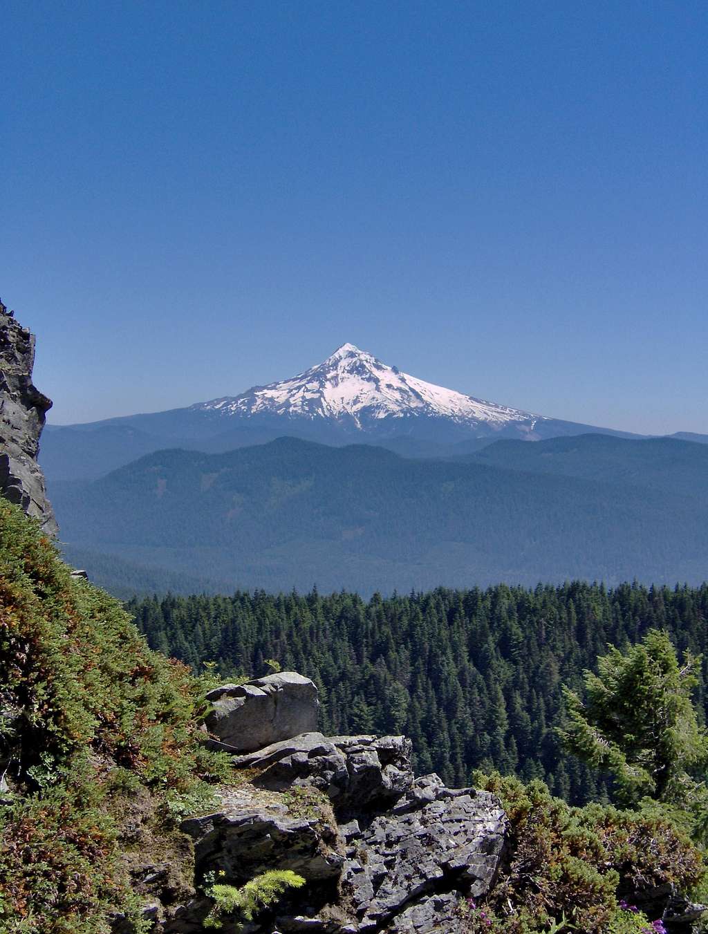 Mt. Hood from Larch Mountain