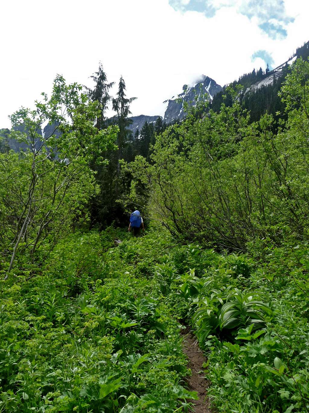 Thunder Creek Trail