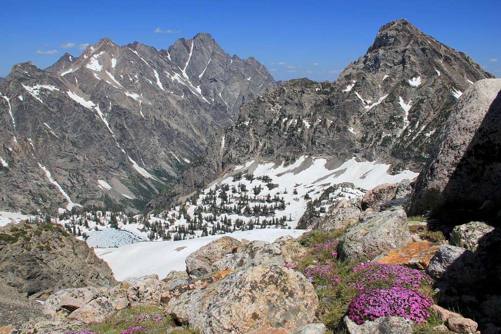 From Paintbrush Divide