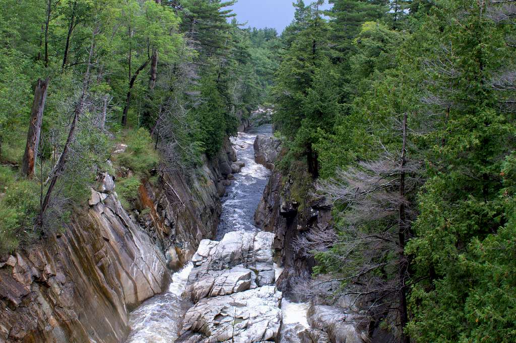 Rushing Adirondack Stream 