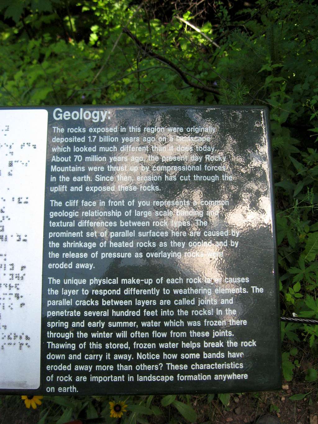 Local Geology