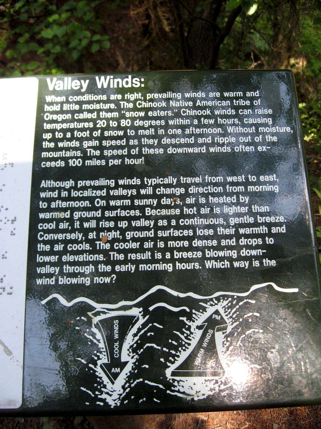 Valley Winds